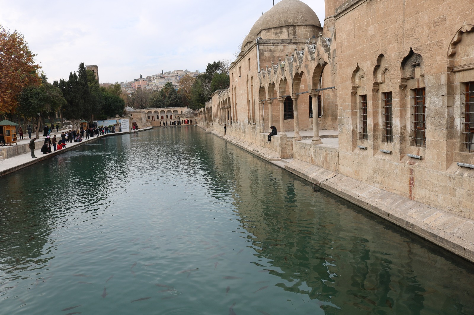 Fotoğraflarla Balıklıgöl (Gola Masiya)